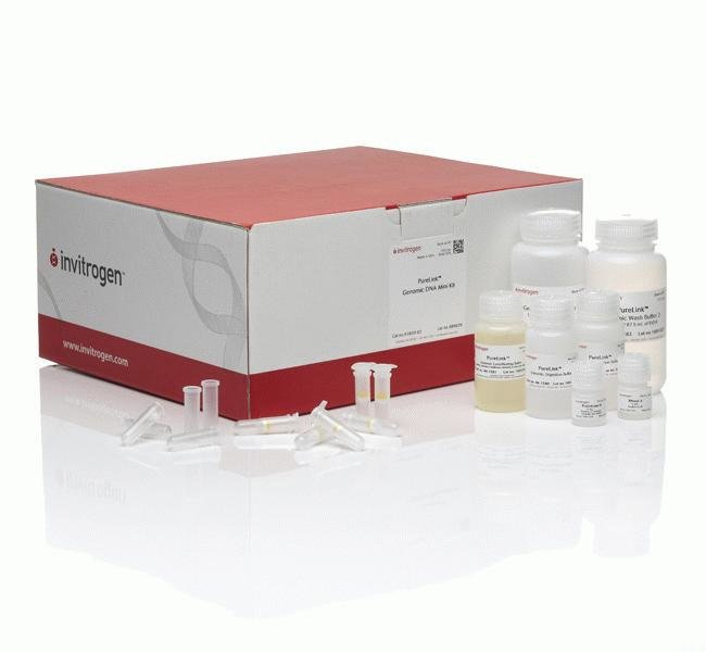 Invitrogen™ PureLink™ Genomic DNA Mini Kit, 250 Preps
